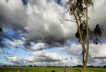 开云体育：雄狮传奇门将哈山受邀赴西雅图 激励小将圆梦绿茵.