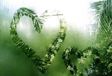 开云体育：雄狮传奇门将哈山受邀赴西雅图 激励小将圆梦绿茵.